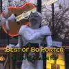 Bo Porter - Best of Bo Porter Live At the Saxon Pub